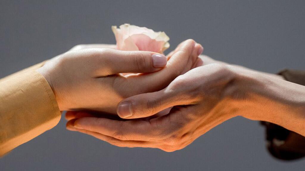 Twee paar handen houden samen een roze roos vast.