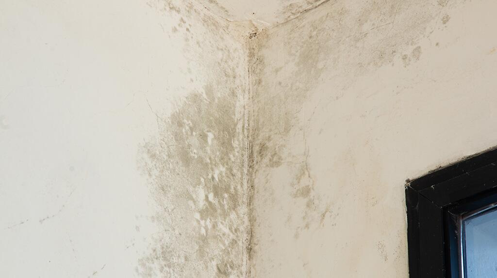 Muurhoek met schimmel naast een raamkozijn.